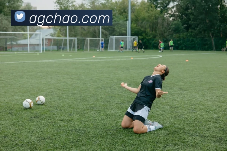 App Interface Preview